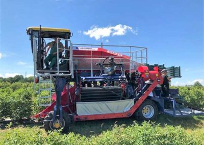 Self-propelled berry harvester is the latest version of V-shape picking system designed to harvest berries from the whole row