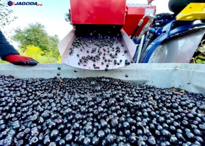 Tow-behind berry harvester JAGODA JPS