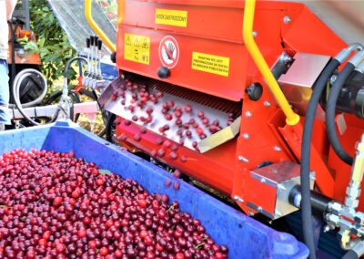 Tree shaking machine for sour cherries GACEK