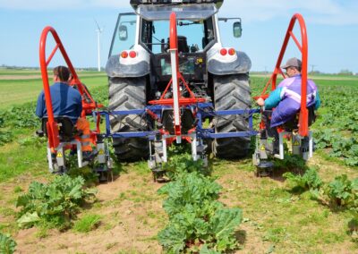 Rotary cultivator for vegetables ECO triple rows
