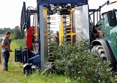 JAGODA 300 is the latest solution of raspberry and blueberry harvester.