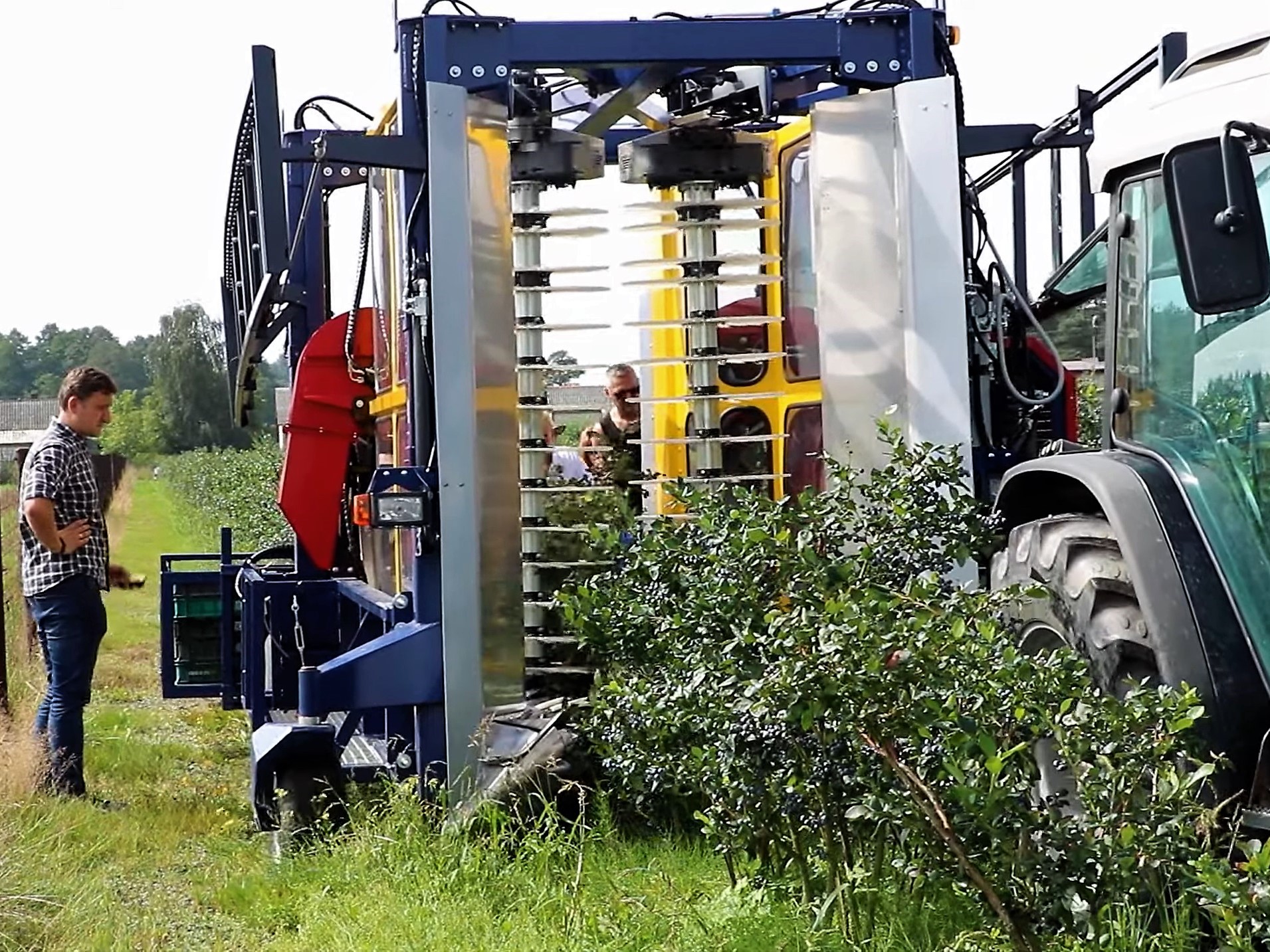 JAGODA 300 is the latest solution of raspberry and blueberry harvester.