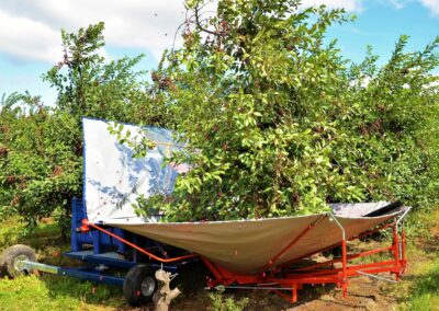 Secoueur d’arbres pour cerises et prunes GACEK
