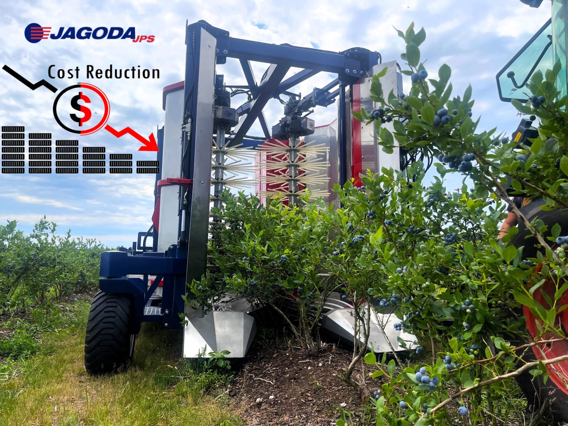 The JAGODA 300 pull-type blueberry harvester offers a cost-effective solution